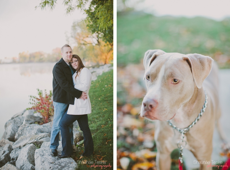Shaunae_Teske_Photography_Wedding_Portrait_Wisconsin_Karla_Kyle_pitbull_Aston-15